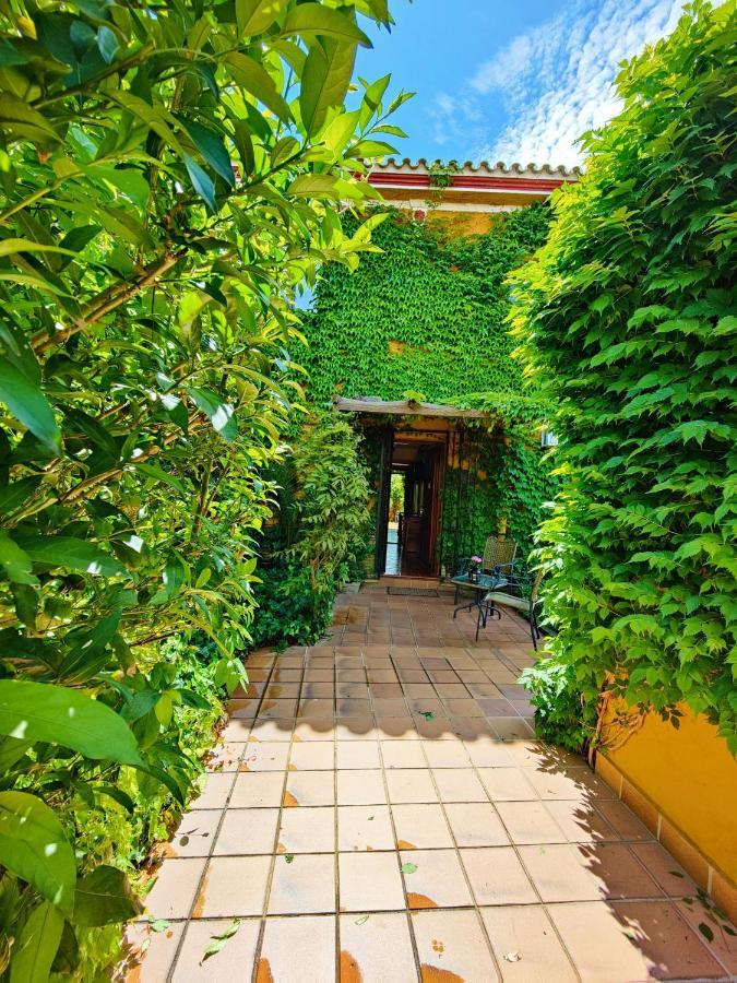 Hotel Donana Blues Matalascañas Kültér fotó