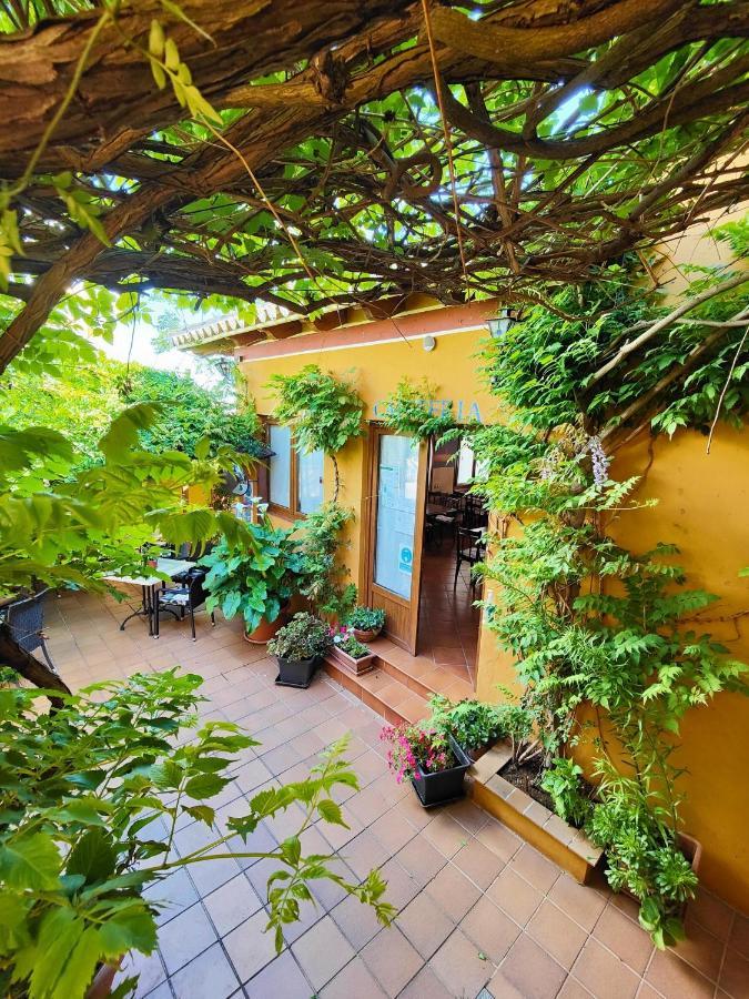 Hotel Donana Blues Matalascañas Kültér fotó