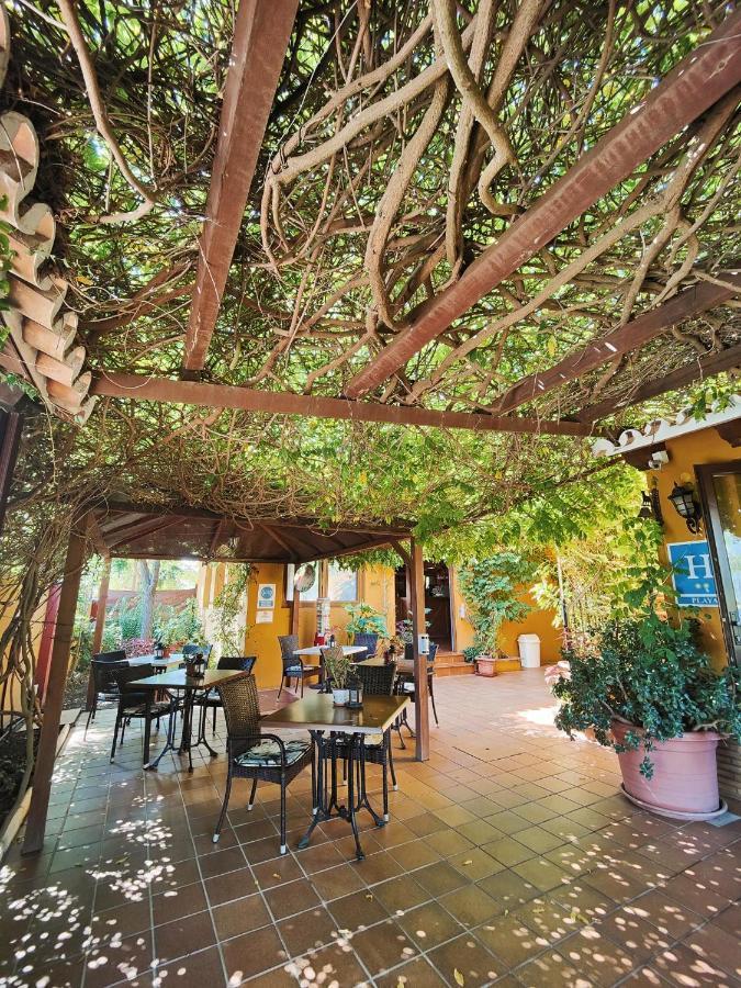 Hotel Donana Blues Matalascañas Kültér fotó